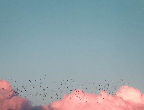 The Incomparable Christ